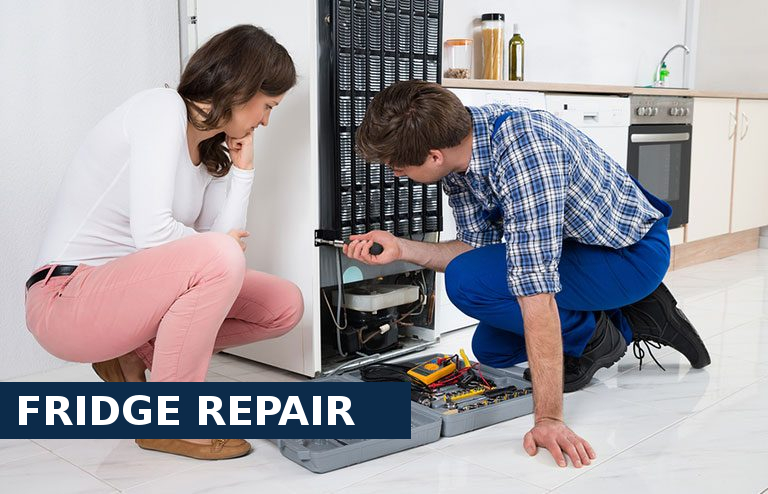 Fridge Repair Ewell